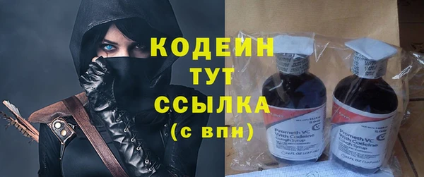 дурь Алексин