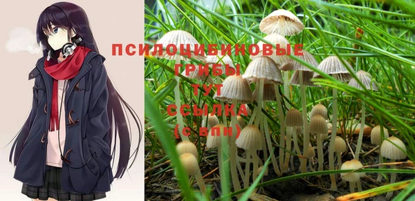 дурь Алексин