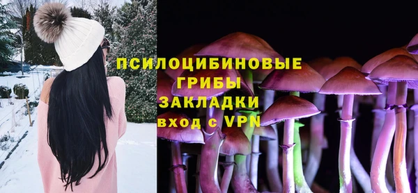 бутират Алзамай