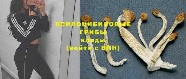 бутират Алзамай