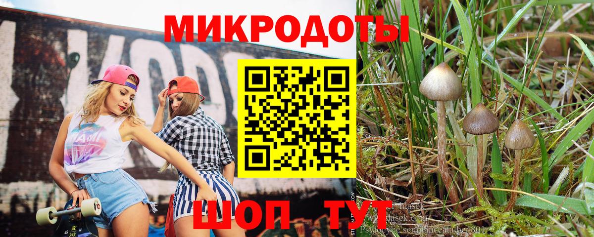 Галлюциногенные грибы Cubensis  Псилоцибиновые грибы Psilocybe  Кириши  Вход с VPN 