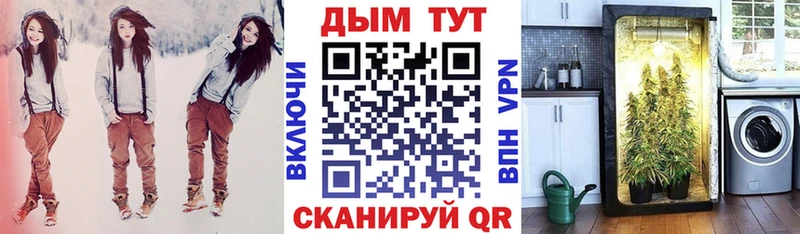хочу наркоту Кириши Бошки марихуана семена